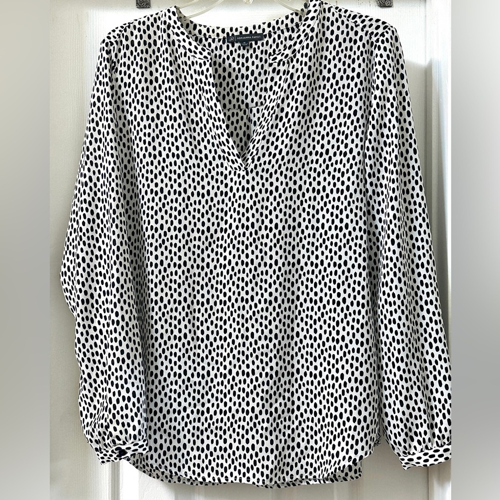 Adrianna Papell Long Sleeve V-neck Blouse